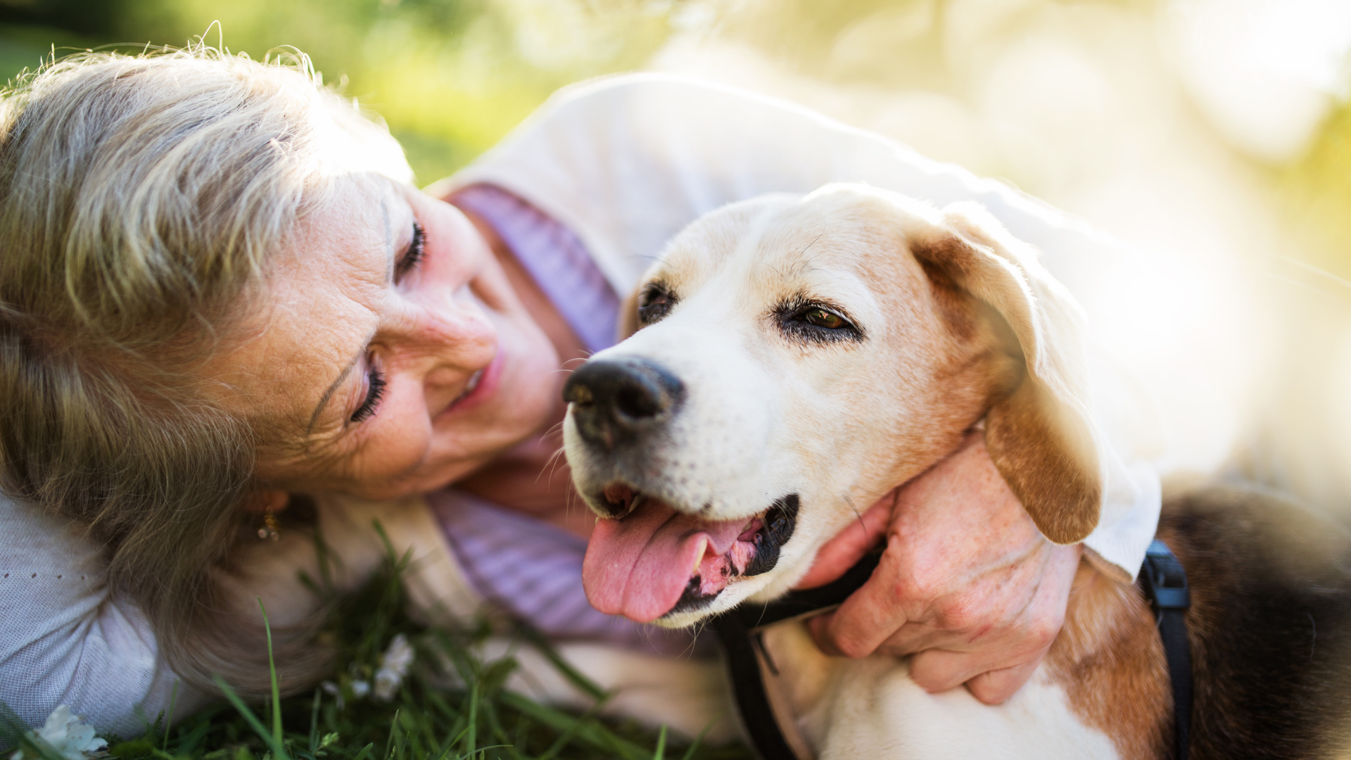 Human and dog hugging on the grass - Petscribers