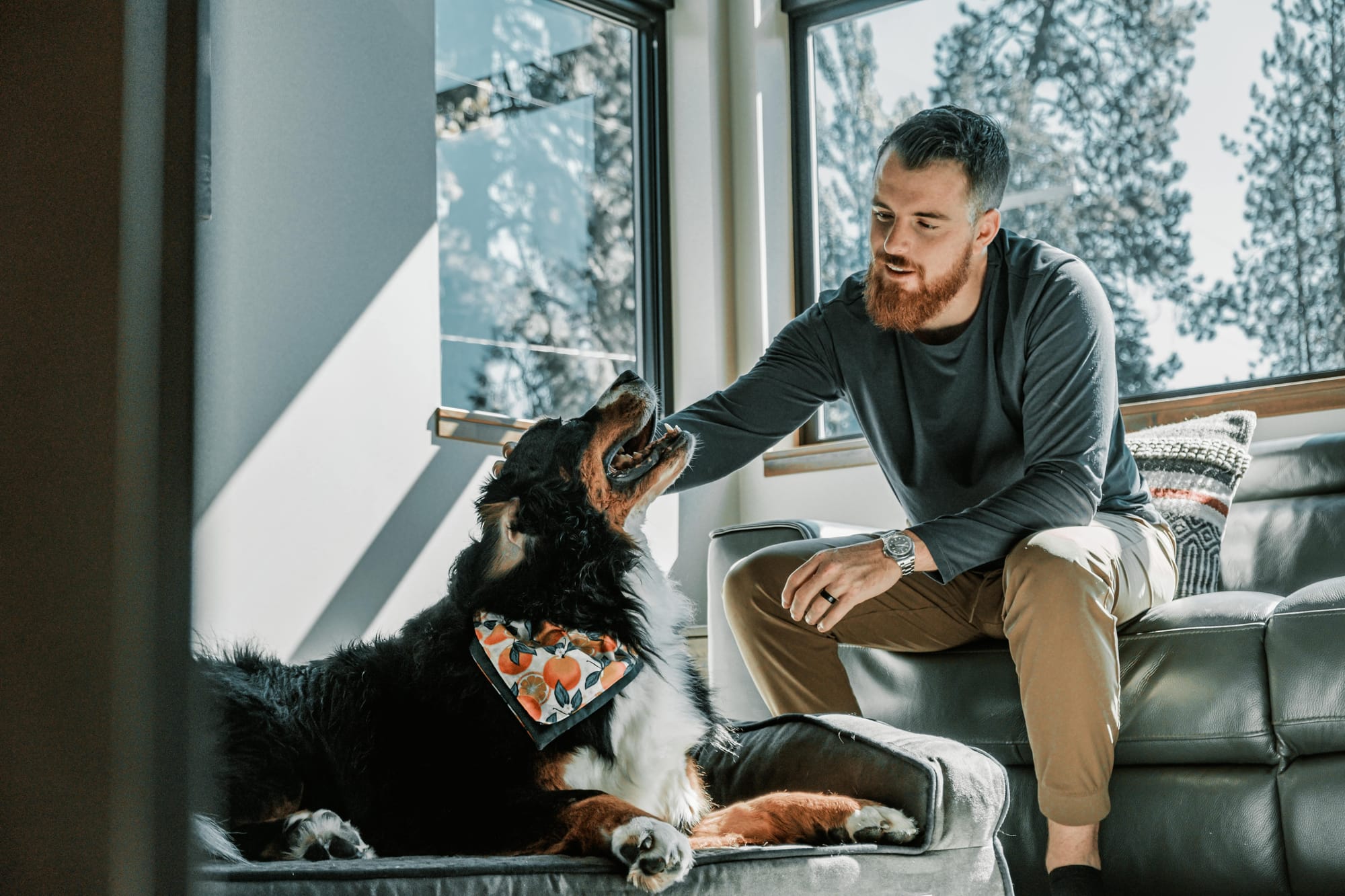 Happy dog cuddles at home