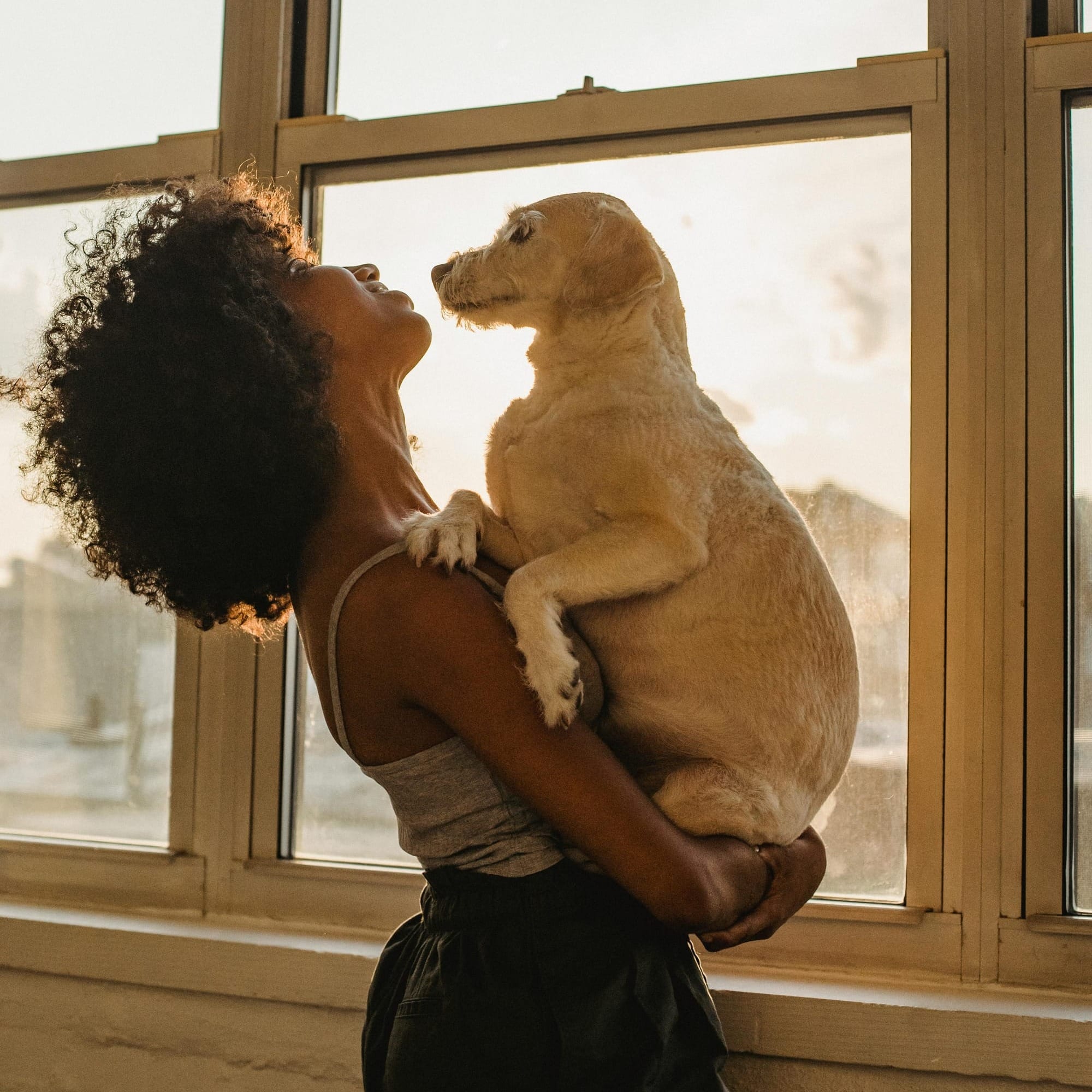 Doggy cuddles in the sun - Petscribers