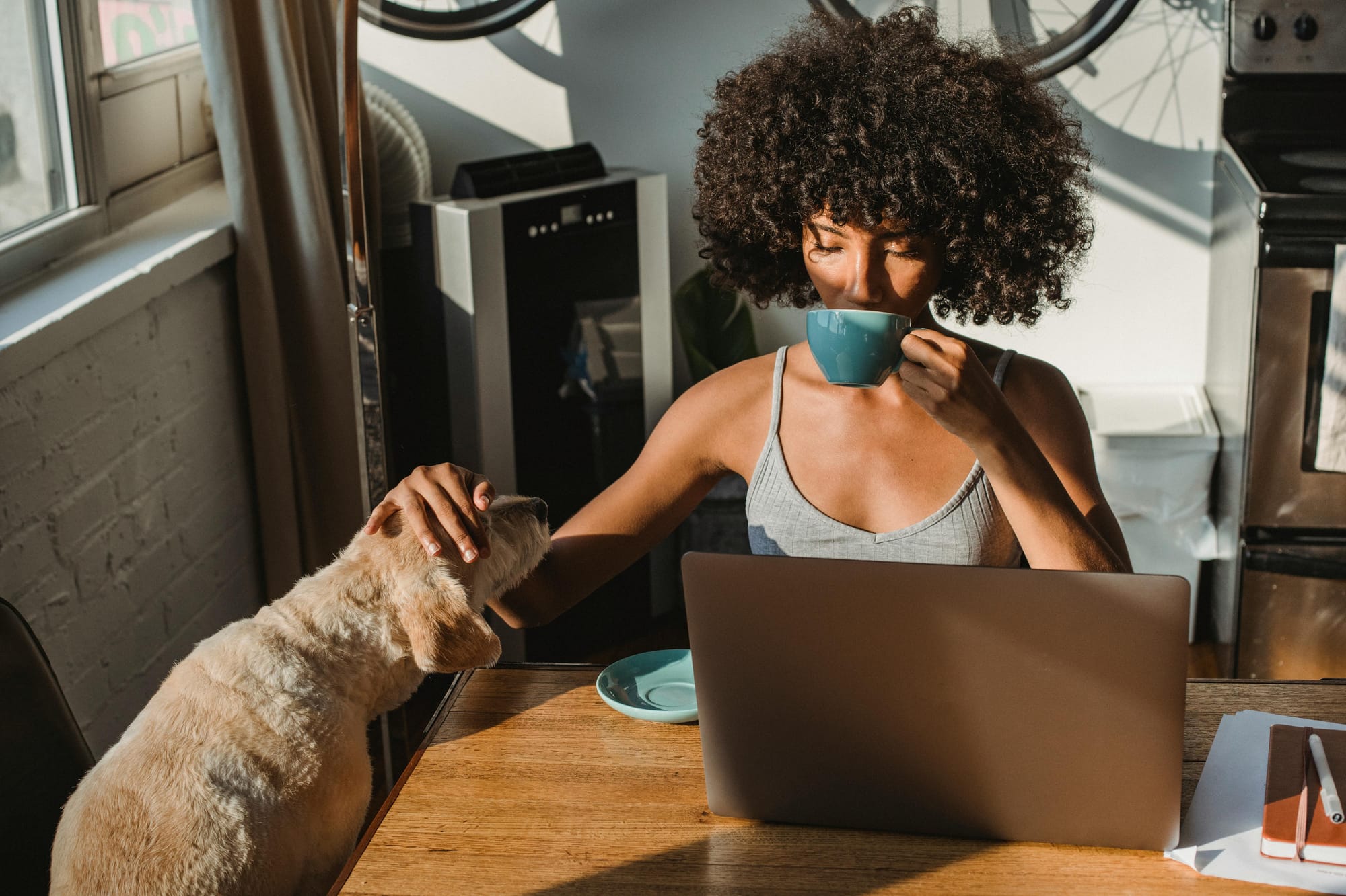 human and dog online shopping together - Petscribers